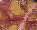 Мрамор Брекчия Медузе (Marble Breccia Meduse)